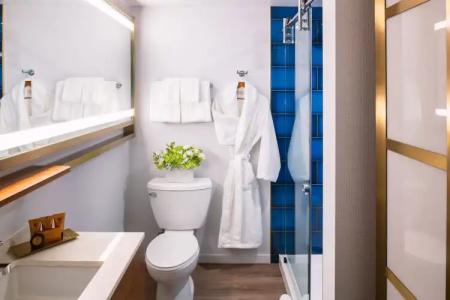 Le Meridien Essex Chicago - 9