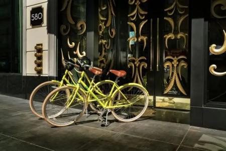 Staypineapple, An Iconic, The Loop - 21