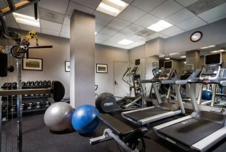 Staypineapple, An Iconic, The Loop - 20