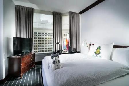 Staypineapple, An Iconic, The Loop - 4