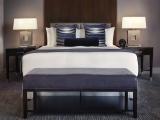 1 Bedroom Deluxe Double Suite with city view