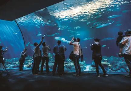 Best Western Grant Park - 29