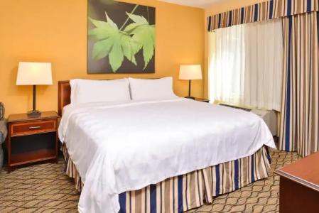 Holiday Inn & Suites Chicago - Downtown, an IHG - 5
