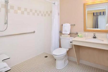 Holiday Inn & Suites Chicago - Downtown, an IHG - 7