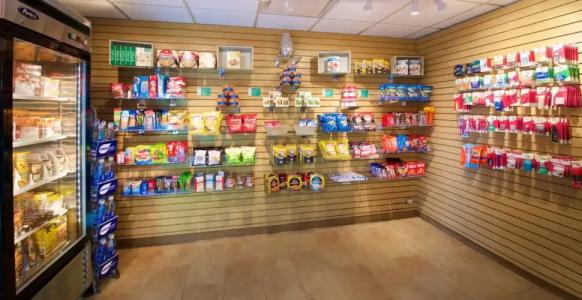 Holiday Inn & Suites Chicago - Downtown, an IHG - 11