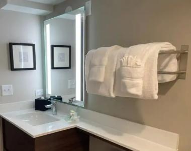 Holiday Inn & Suites Chicago - Downtown, an IHG - 9