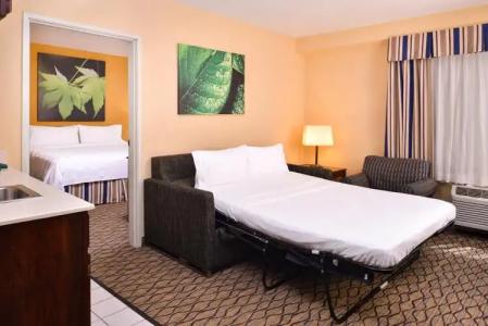 Holiday Inn & Suites Chicago - Downtown, an IHG - 4