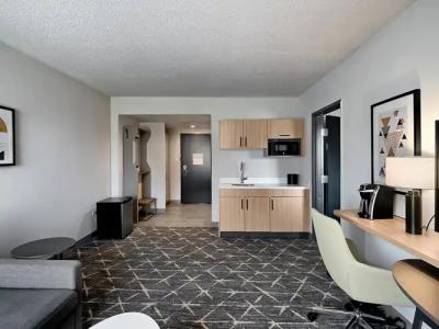 Holiday Inn & Suites Chicago - Downtown, an IHG - 46