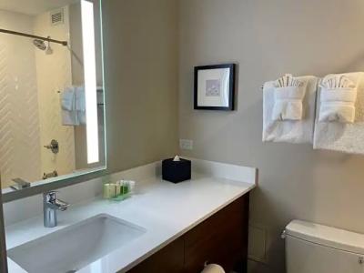 Holiday Inn & Suites Chicago - Downtown, an IHG - 41