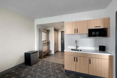 Holiday Inn & Suites Chicago - Downtown, an IHG - 49