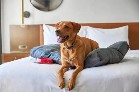 ARC Washington DC, Georgetown - 26