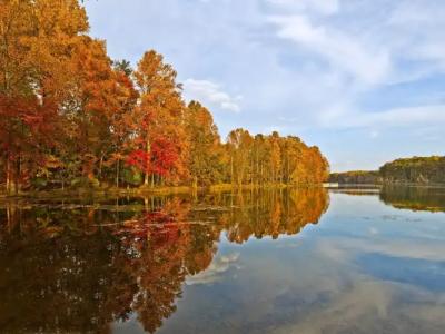 ARC Washington DC, Georgetown - 49