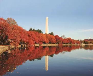 ARC Washington DC, Georgetown - 35