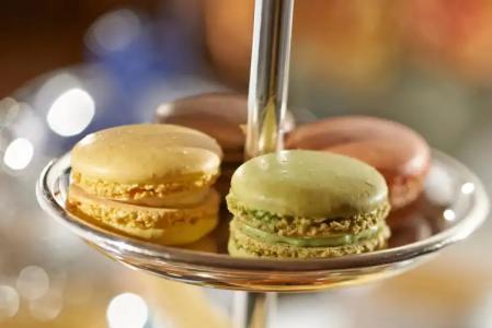 Salamander Washington DC - 41