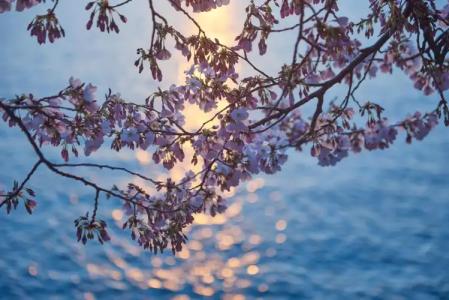 Salamander Washington DC - 44