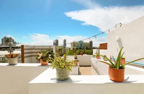 The Local House - 17