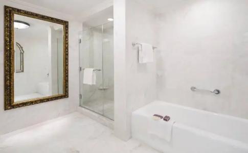 The Ritz-Carlton Orlando, Grande Lakes - 8