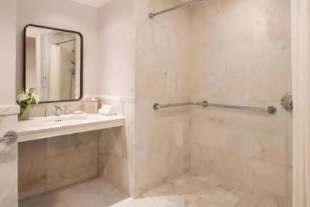 The Ritz-Carlton Orlando, Grande Lakes - 88