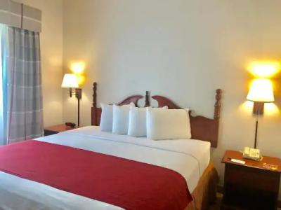 Spark by Hilton Orlando Universal Blvd - 35