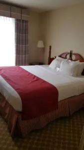 Spark by Hilton Orlando Universal Blvd - 55