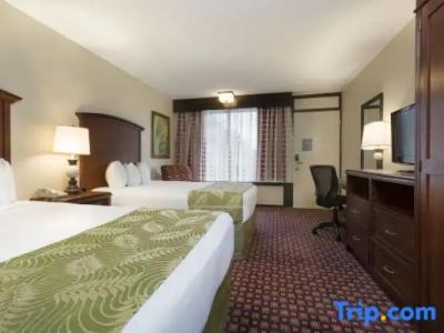 Rosen Inn International Near The Parks - 132