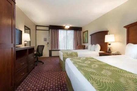 Rosen Inn International Near The Parks - 106