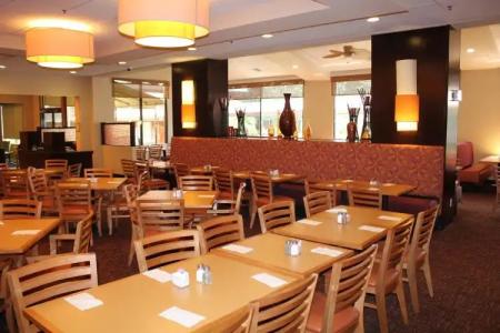 Rosen Inn International Near The Parks - 18