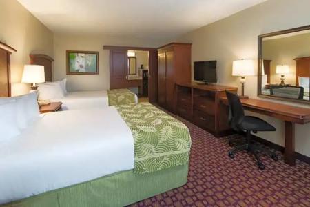 Rosen Inn International Near The Parks - 125