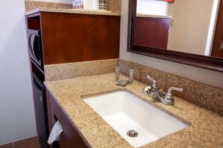 Rosen Inn International Near The Parks - 47