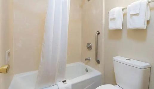 Rosen Inn International Near The Parks - 58