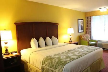 Rosen Inn International Near The Parks - 5