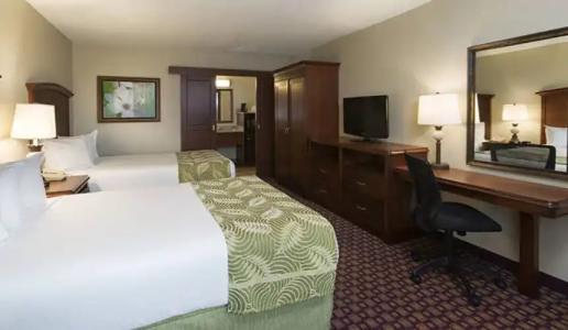 Rosen Inn International Near The Parks - 50