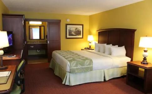 Rosen Inn International Near The Parks - 6