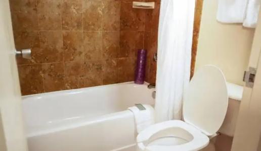 Rosen Inn International Near The Parks - 54