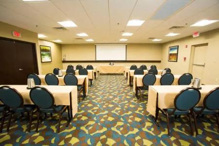 Rosen Inn International Near The Parks - 19