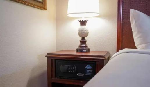 Rosen Inn International Near The Parks - 55