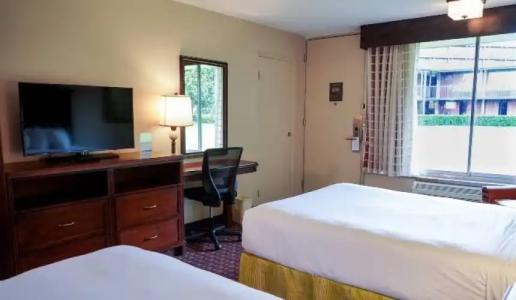 Rosen Inn International Near The Parks - 57