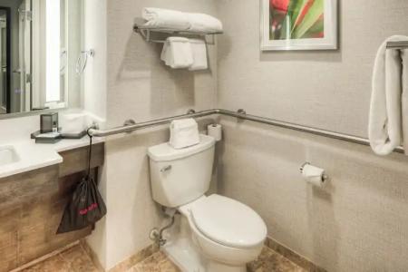 Hyatt Regency Orlando International Airport - 10