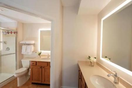 Sheraton Vistana Villages Resort Villas, I-Drive Orlando - 101