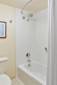 Sheraton Orlando Lake Buena Vista Resort - 9