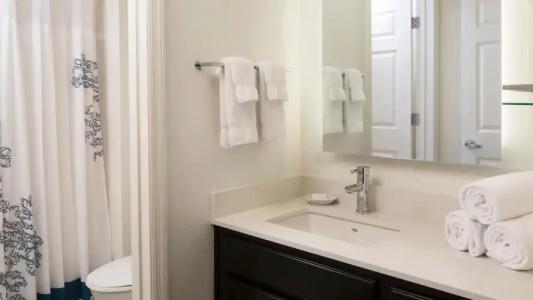 Residence Inn by Marriott Orlando at SeaWorld - 4