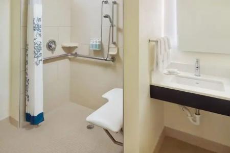 Residence Inn by Marriott Orlando at SeaWorld - 77