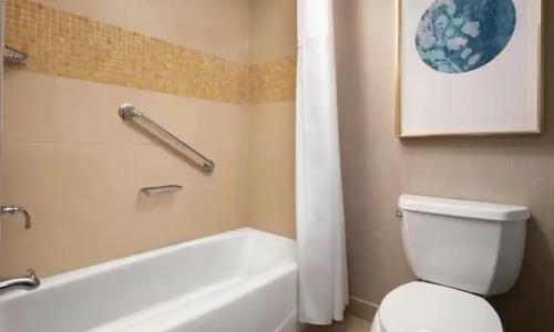 Signia by Hilton Orlando Bonnet Creek - 34