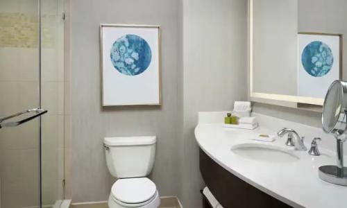 Signia by Hilton Orlando Bonnet Creek - 40