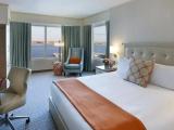 Executive Double Suite with harbour view