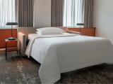 Executive Double Junior Suite
