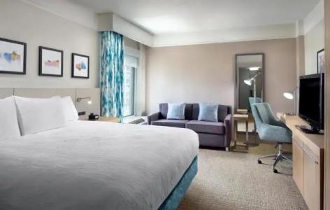 Hilton Garden Inn Atlanta-Buckhead - 42