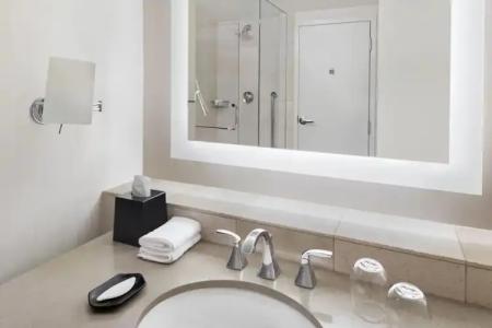 The Westin Buckhead Atlanta - 64