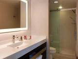 1 Bedroom Suite with city view