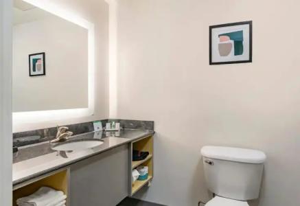 Holiday Inn Louisville Airport South by IHG - 8